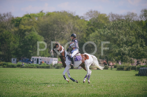 JJS_7881