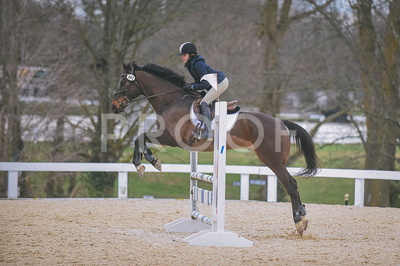 DSC_0340 copy