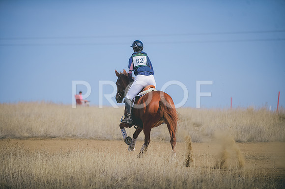 JJS_0298