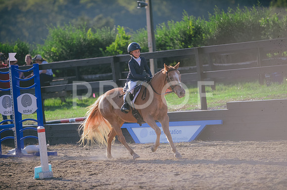 JJS_8788