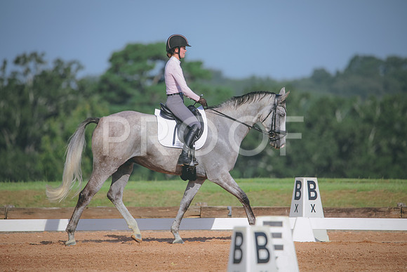 RWP_4573