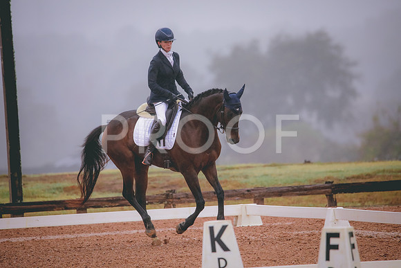 RWP_0790