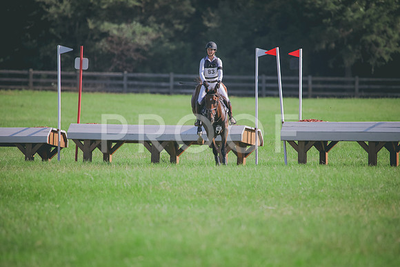 RWP_6228