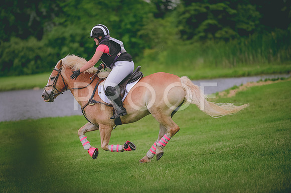 JJS_0637