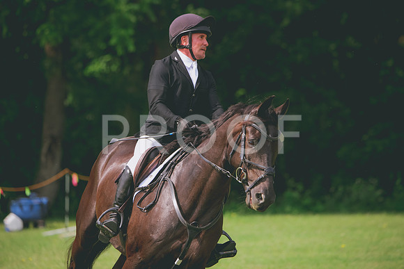 RWP_9534