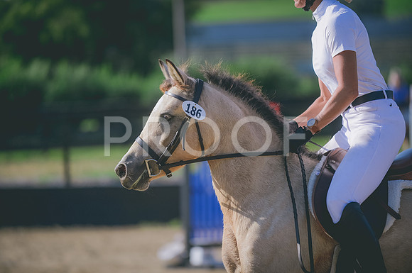 JJS_6794