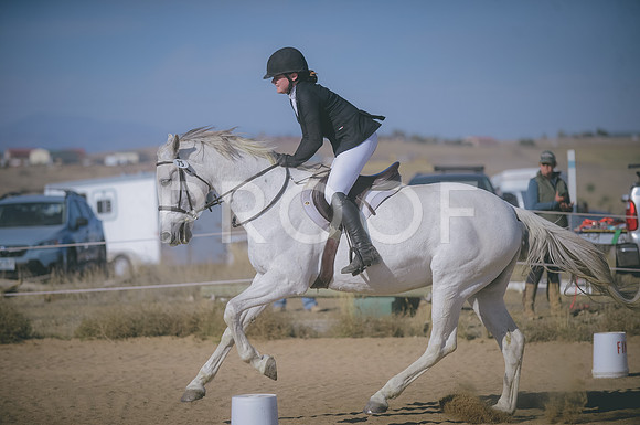 JJS_1102