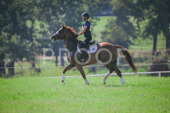 RWP_6340