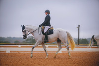 610