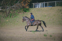 JJS_0204