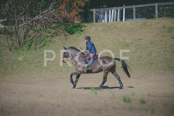 JJS_0204
