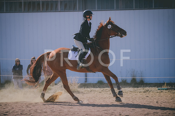 JJS_3289