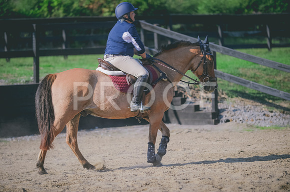 JJS_7383A