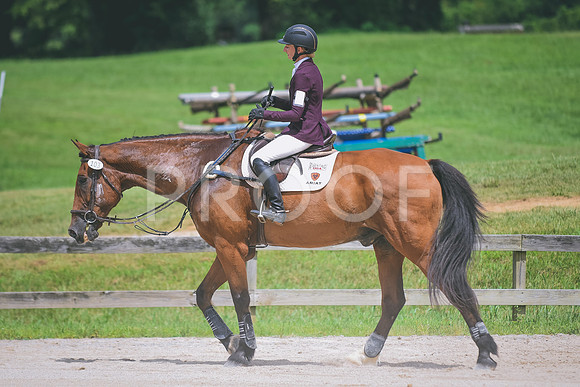 DSC_1100