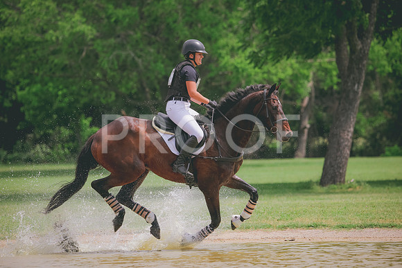 RWP_0339