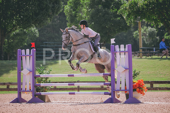 RWP_4954