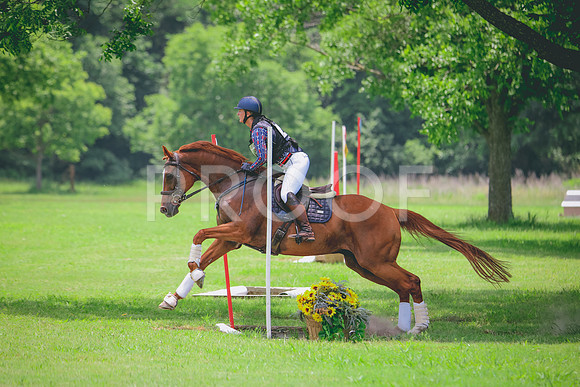 RWP_2961