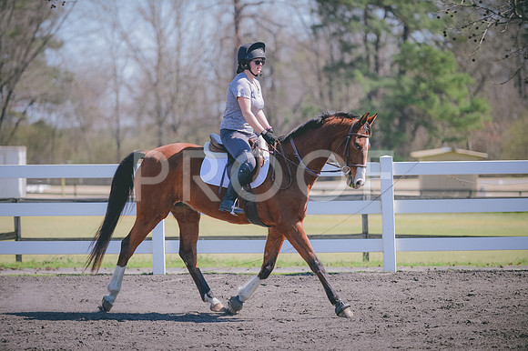 JJS_0530