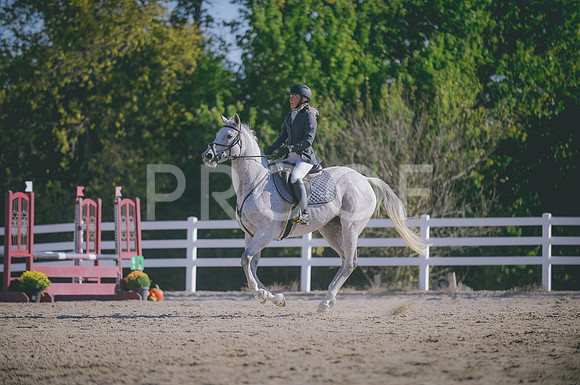 JJS_7352