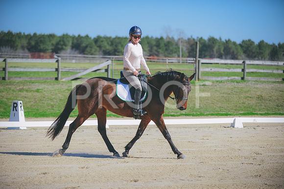JJS_7838
