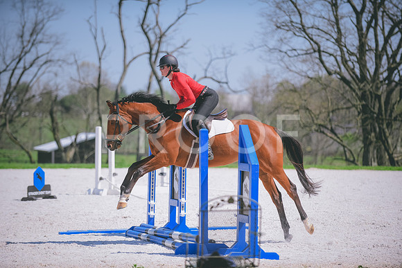 DSC_4116