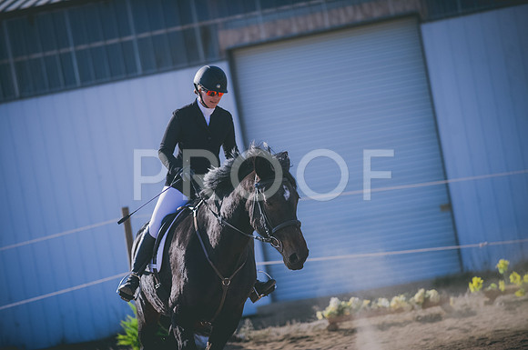 JJS_0919
