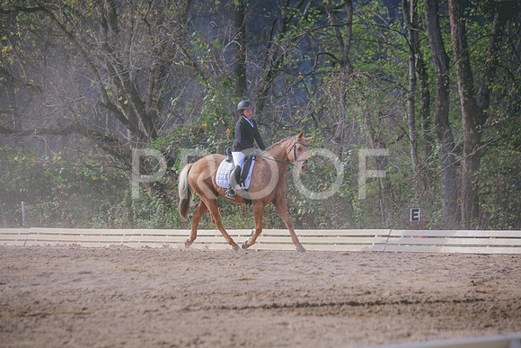 IMG_1395