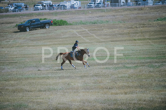 JJS_1436