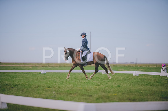 JJS_1331
