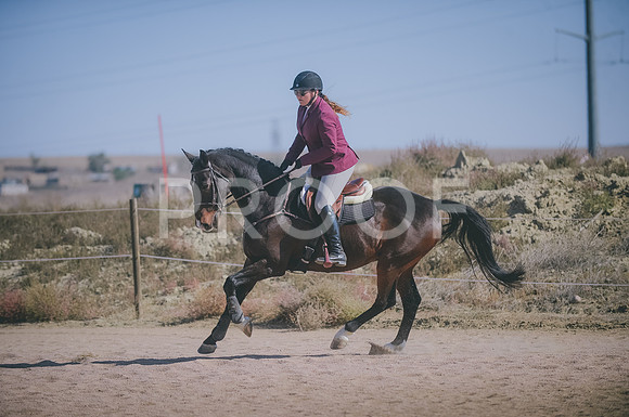 JJS_5673