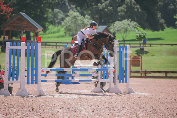 RWP_5289