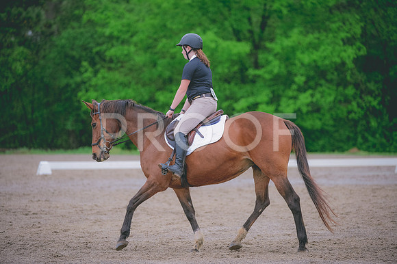 JJS_1178