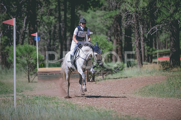 JJS_2918