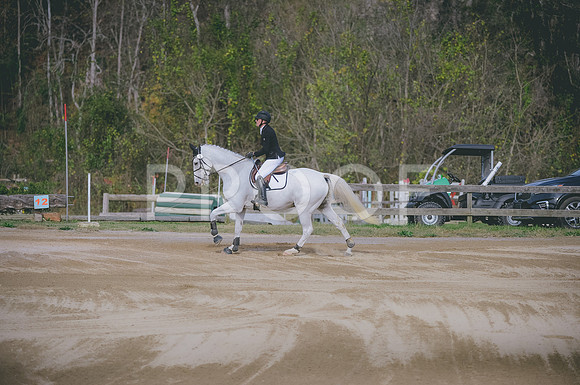JJS_6705