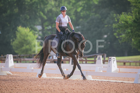 RWP_4240