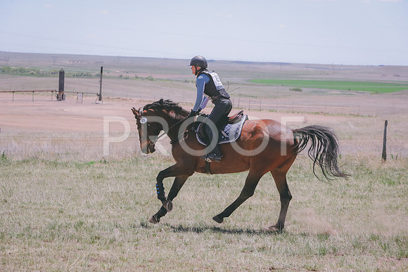CDH_0419