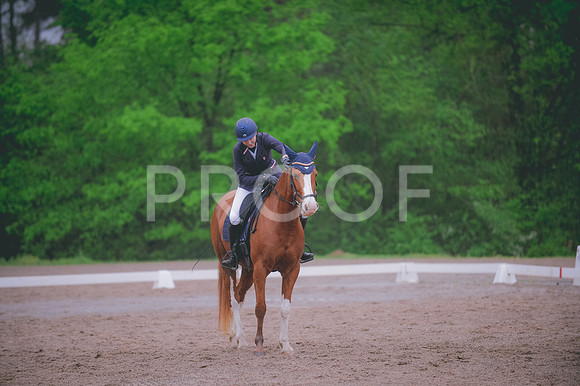 JJS_7848