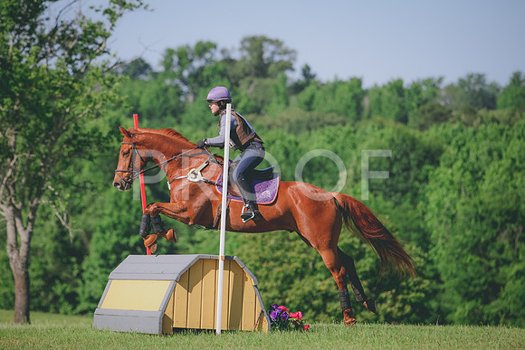 RWP_3369