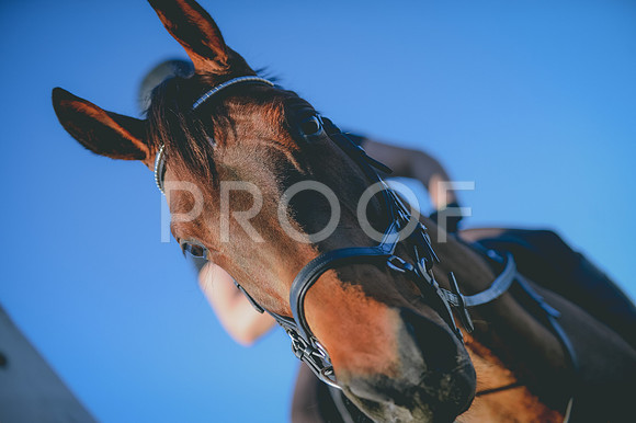 JJS_0733