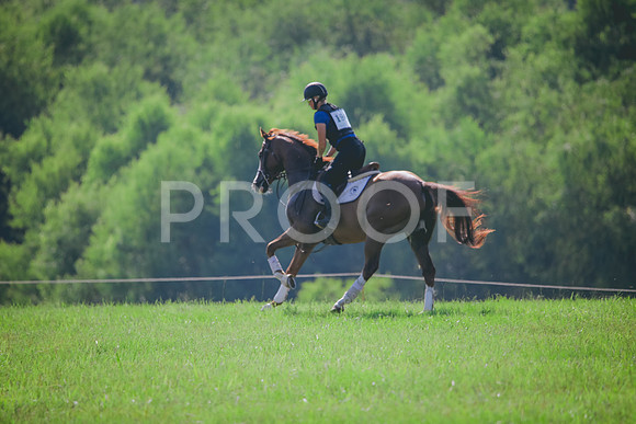 RWP_6345