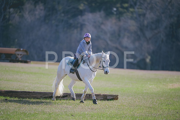 JJS_2582