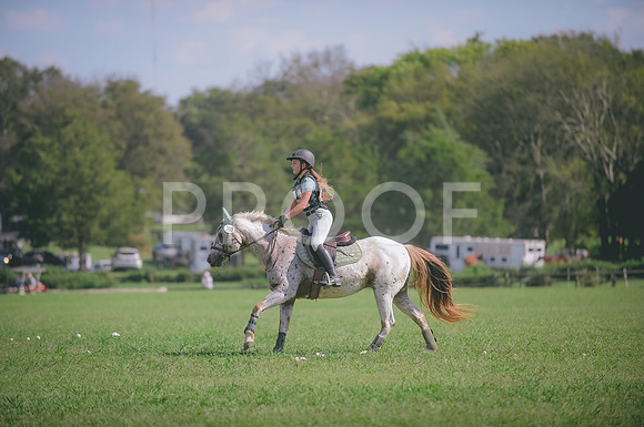 JJS_8402