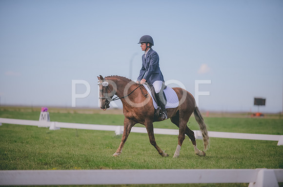JJS_1468