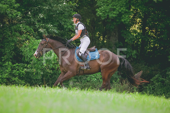 RWP_4747