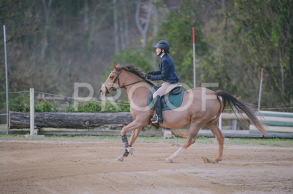 JJS_1406