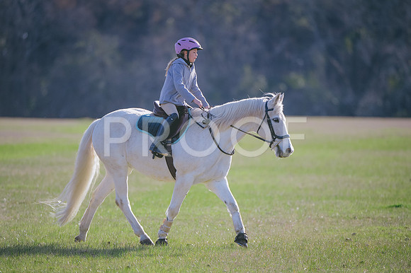 JJS_2473