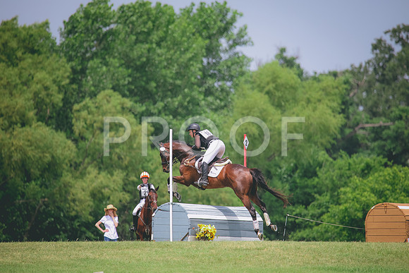 RWP_2029