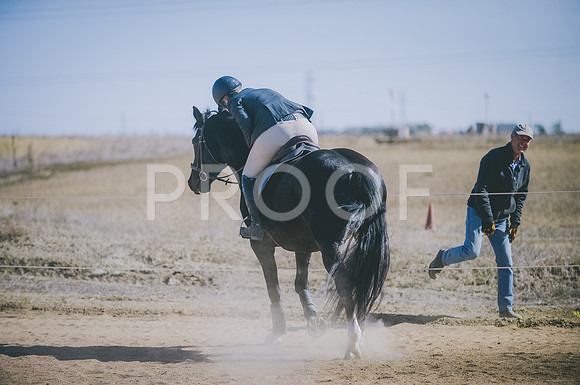 JJS_6307
