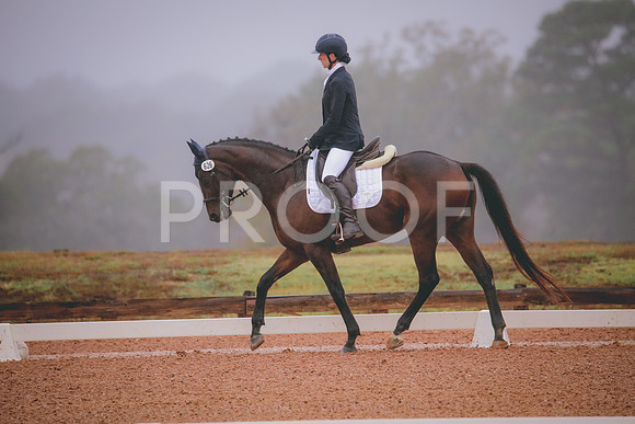 RWP_0832
