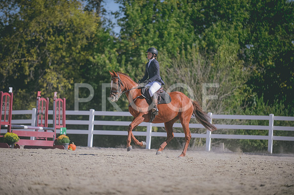 JJS_1382
